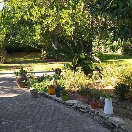 Independant Pres Du Centre * Nîmes